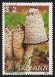 Stamps America - Guyana -  SETAS-HONGOS: 1.162.0001,00-Coprinus comatus