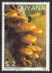 Stamps America - Guyana -  SETAS-HONGOS: 1.162.0003,00-Pholiota aurivella