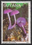 Stamps Guyana -  SETAS-HONGOS: 1.162.0004,00-Leccaria amethystina