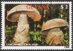 Stamps Guyana -  SETAS-HONGOS: 1.162.011,00-Cortinarius bolaris