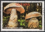 Stamps : America : Guyana :  SETAS-HONGOS: 1.162.011,01-Cortinarius bolaris -Phil.47629-Dm.989.45-Y&T.2077-Mch.2480-Sc.2010a