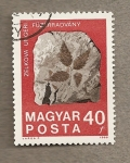 Stamps : Europe : Hungary :  Fósil planta
