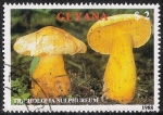 Stamps Guyana -  SETAS-HONGOS: 1.162.012,02-Tricholoma sulphureum -Phil.47630-Dm.989.46-Y&T.2078-Mch.2481-Sc.2010b