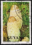 Stamps Guyana -  SETAS-HONGOS: 1.162.021,01-Coprinus comatus -Phil.54949-Dm.990.241-Y&T.2355-Mch.3287-Sc.2348