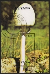 Stamps Guyana -  SETAS-HONGOS: 1.162.028,00-Anellaria semiovata