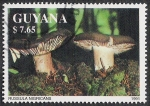 Stamps Guyana -  SETAS-HONGOS: 1.162.032,01-Russula nigricans -Phil.47637-Dm.991.217-Mch.3681-Sc.2464