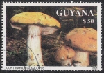 Sellos del Mundo : America : Guyana : SETAS-HONGOS: 1.162.033,00-Cortinarius glaucopus
