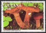 Stamps : America : Guyana :  SETAS-HONGOS: 1.162.034,01-Lactarius camphoratus -Phil.47639-Dm.991.219-Mch.3683-Sc.2466