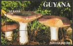Stamps America - Guyana -  SETAS-HONGOS: 1.162.036,00-Russula integra