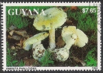 Sellos de America - Guyana -  SETAS-HONGOS: 1.162.041,00-Amanita phalloides