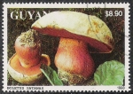 Stamps Guyana -  SETAS-HONGOS: 1.162.042,00-Boletus satanas