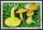 Stamps America - Guyana -  SETAS-HONGOS: 1.162.043,00-Suillus granulatus