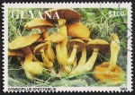 Sellos de America - Guyana -  SETAS-HONGOS: 1.162.044,00-Gymnopilus spectabilis