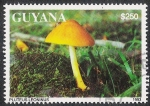 Sellos de America - Guyana -  SETAS-HONGOS: 1.162.045,00-Pluteus leoninus