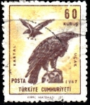 Stamps : Asia : Turkey :  Aves de presa. Kartal.	