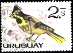 Sellos de America - Uruguay -  Cardenal Amarillo	