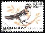 Stamps Uruguay -  Chingolo	