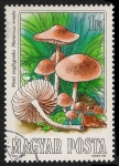 Stamps Hungary -  SETAS-HONGOS: 1.164.001,01-Marasmius oreades -Phil.47536-Dm.984.54-Y&T.2935-Mch.3708-Sc.2873