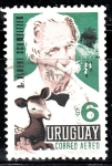 Sellos de America - Uruguay -  Dr. Albert Schweitzer	
