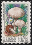 Stamps : Europe : Hungary :  SETAS-HONGOS: 1.164.003,01-Agaricus campestris -Phil.53405-Dm.984.56-Y&T.2937-Mch.3710-Sc.2875