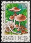 Stamps Hungary -  SETAS-HONGOS: 1.164.001,02-Marasmius oreades -Phil.47536-Dm.984.54-Y&T.2935-Mch.3708-Sc.2873