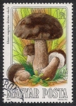 Stamps Hungary -  SETAS-HONGOS: 1.164.002,02-Boletus edulis -Phil.47537-Dm.984.55-Y&T.2936-Mch.3709-Sc.2874