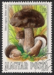 Stamps : Europe : Hungary :  SETAS-HONGOS: 1.164.002,03-Boletus edulis -Phil.47537-Dm.984.55-Y&T.2936-Mch.3709-Sc.2874