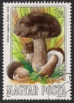 Sellos de Europa - Hungr�a -  SETAS-HONGOS: 1.164.002,03-Boletus edulis -Phil.47537-Dm.984.55-Y&T.2936-Mch.3709-Sc.2874