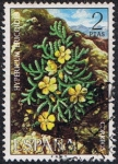 Stamps Spain -  FLORA 1974. HYPERICUM ERICOIDES (PINILLO DE ORO)