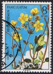 Stamps Spain -  FLORA 1974. HELIANTHEMUM PANICULATUM (TAMARILLA)