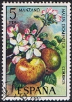Stamps Spain -  FLORA 1975. MANZANO
