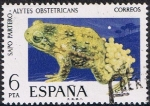 Stamps Spain -  FAUNA HISPÁNICA. SAPO PARTERO