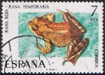 Stamps Spain -  FAUNA HISPÁNICA. RANA ROJA