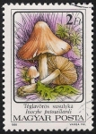 Stamps : Europe : Hungary :  SETAS-HONGOS: 1.164.013,01-Inocybe patouillardii -Phil.53461-Dm.986.74-Y&T.3083-Mch.3873-Sc.3048