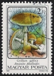 Stamps Hungary -  SETAS-HONGOS: 1.164.011,02-Amanita phalloides -Phil.47542-Dm.986.72-Y&T.3081-Mch.3871-Sc.3046