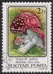 Stamps Hungary -  SETAS-HONGOS: 1.164.012,02-Amanita muscaria -Phil.47543-Dm.986.73-Y&T.3082-Mch.3872-Sc.3047