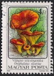 Stamps Hungary -  SETAS-HONGOS: 1.164.014,02-Omphalotus olearius -Phil.47544-Dm.986.75-Y&T.3084-Mch.3874-Sc.3049
