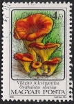 Sellos de Europa - Hungra -  SETAS-HONGOS: 1.164.014,02-Omphalotus olearius -Phil.47544-Dm.986.75-Y&T.3084-Mch.3874-Sc.3049