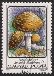 Stamps : Europe : Hungary :  SETAS-HONGOS: 1.164.015,02-Amanita pantherina -Phil.47545-Dm.986.76-Y&T.3085-Mch.3875-Sc.3050