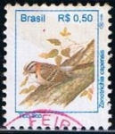 Stamps Brazil -  Scott  2448  Zonotrichia capensis (2)
