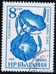 Stamps Bulgaria -  Ipomoea tricolor