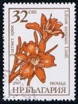 Stamps Brazil -  Lirio