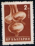 Stamps : Europe : Bulgaria :  Scott  1020 Cebollas