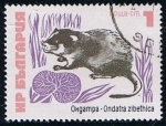 Stamps Bulgaria -  Scott  2098  Rata Almizclera