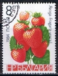 Stamps Bulgaria -  Scott  2966  Fresas (2)