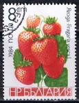 Sellos de Europa - Bulgaria -  Scott  2966  Fresas (2)