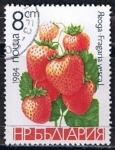 Sellos de Europa - Bulgaria -  Scott  2966  Fresas (3)