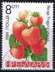 Stamps : Europe : Bulgaria :  Scott  2966  Fresas (7)