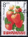 Stamps Bulgaria -  Scott  2966  Fresas (8)