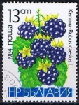 Stamps Bulgaria -  Scott  2967   moras silvestres